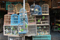 Tiermarkt in Denpasar