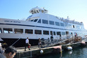 Argosy Harbor Cruise