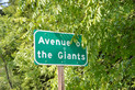 Avenue of Giants