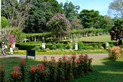 Botanischer Garten in Peradenia