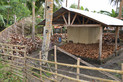 Kokosschalenfabrik