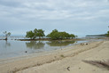 Mangroven vor dem Resort