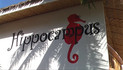 Hippocampus Resort Malapascua