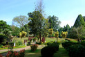 Botanischer Garten in Peradenia